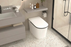 这样选马桶一定不会踩坑